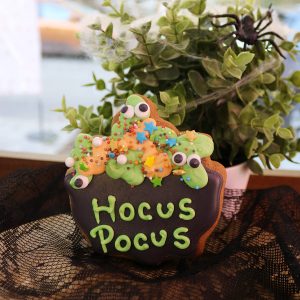 Cazan Hocus-Pocus
