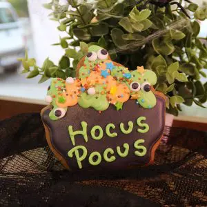 Cazan Hocus-Pocus